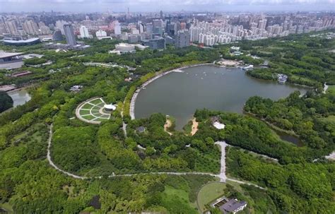 上海世博文化公园-可以望江、赏湖、爬“山”的城市中央公园