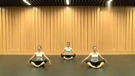 中国舞蹈家协会 幼儿少儿舞蹈考级 4级 小蜻蜓_腾讯视频