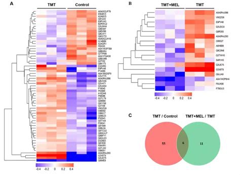 水稻类病斑早衰突变体 lmps1 的表型鉴定与基因定位