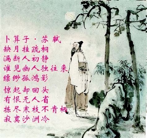 关于苏轼饱含人生哲理诗词，有关人生哲理的古诗句-我爱育娃