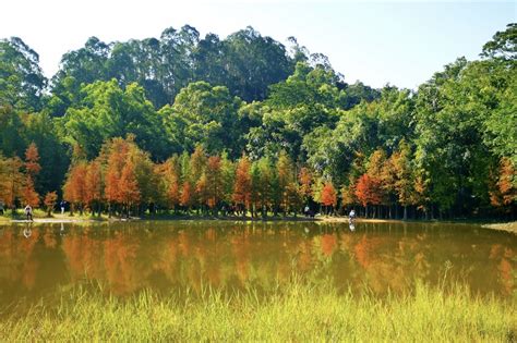 番禺大夫山森林公园水上划船,湖泊池塘,自然风景,摄影素材,汇图网www.huitu.com