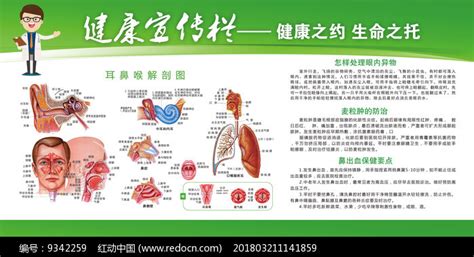 医院耳鼻喉科宣传册设计图__DM宣传单_广告设计_设计图库_昵图网nipic.com