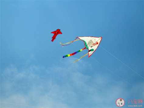 男子放巨型风筝反被带上天是怎么回事 放风筝安全注意事项 _八宝网