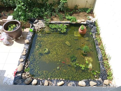 如何动手在自己家院子里建一个花园池塘？ - 知乎