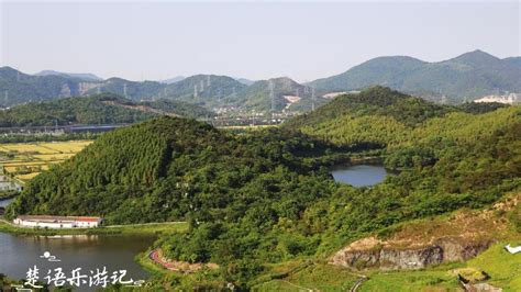 宁波这座山开满小雏菊，因风景太美成为网红打卡胜地，真的太美了_狮子山_公园_步道