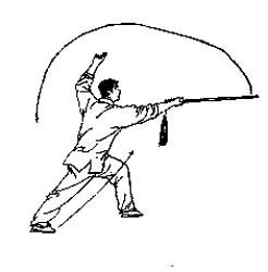 武术剑术运动有什么特点？武术拿剑的方式，点击喜欢请关注转发-LS体育号