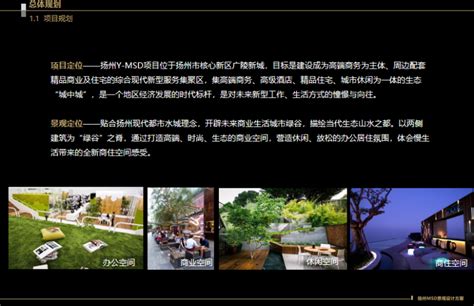 [扬州]MSD高端商务商业区绿化景观概念设计-商业环境景观-筑龙园林景观论坛