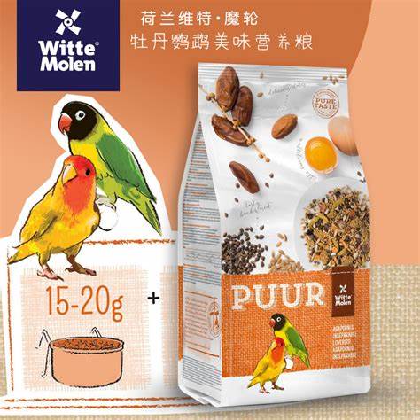牡丹鹦鹉色彩起源及品种区分指南