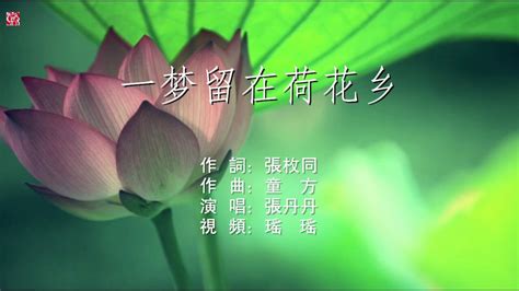 【徽骆驼】《一梦留在荷花乡》-张丹丹演唱_腾讯视频