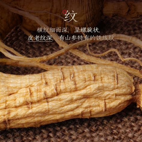 江参图片