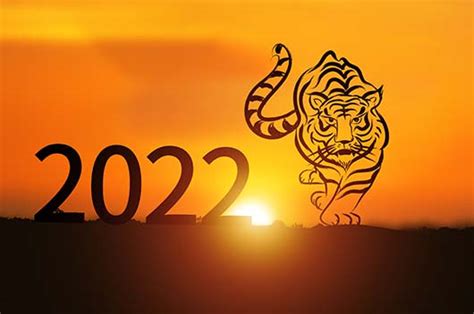12生肖2022虎年详批：你将迎来哪些转变?