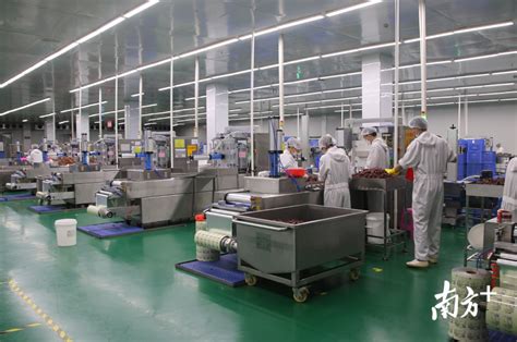 海润集团发挥企业领军优势 打造有“潮味”的乡村振兴食品新平台_潮州市