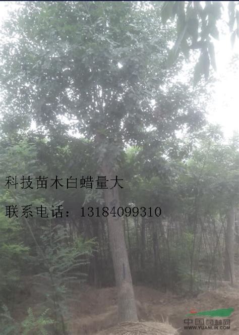 2007年陕西榆林市农业技术推广站应用禾康_北京飞鹰绿地科技发展公司