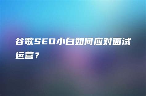 谷歌SEO小白如何应对面试运营？ - DTCStart