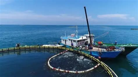 2022海南自由贸易港渔业产业招商推介会在海口举行_国内_海南网络广播电视台