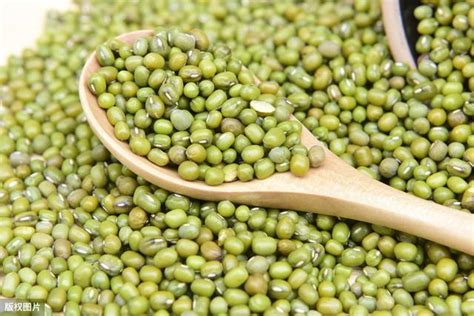 绿豆3斤山东农家自种能生 发芽绿豆汤2022新货特级优质新鲜毛绿豆-淘宝网