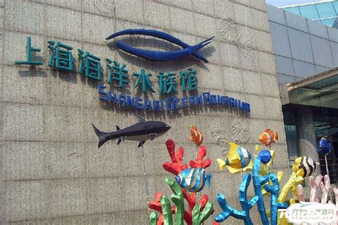上海海洋水族馆 - 知乎