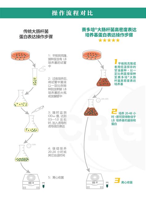 基因组重复序列有哪些？ - 知乎