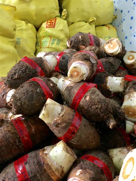 新鲜速冻香芋块批发 广西贺州-食品商务网