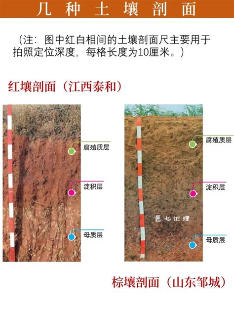 壤土类土壤的特性-砂土、壤土和粘土各有什么特性和优缺点？