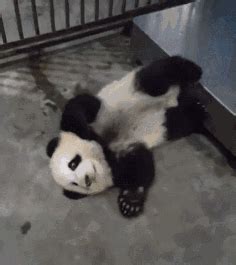 Kur图片