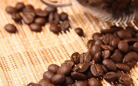精品咖啡豆介绍——阿拉比卡咖啡豆 什么是阿拉比卡咖啡豆？ 阿 中国咖啡网