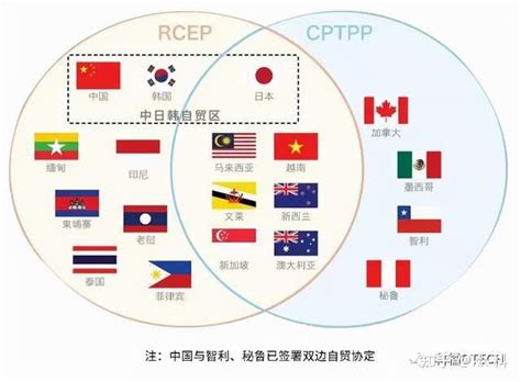 中国正式申请加入CPTPP！这几个机遇中国企业一定要抓住！