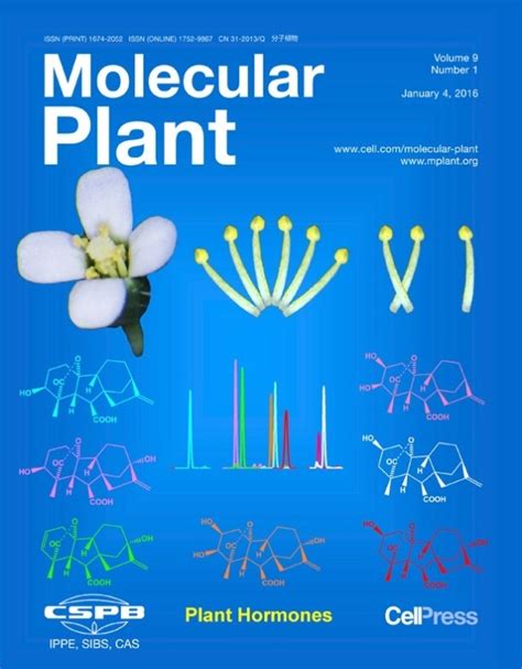 Molecular Plant出版“植物激素”专辑中国科学院遗传与发育生物学研究所