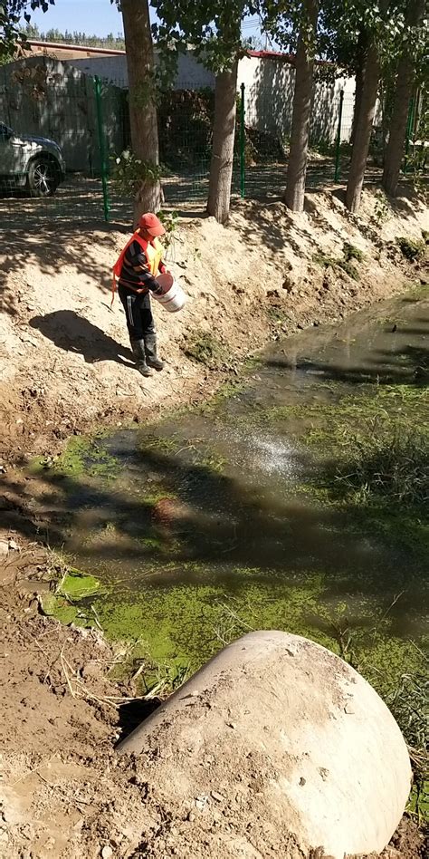 碧水漫道好风光 塘坑背水库群碧道开放在即