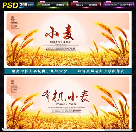 温州街头现“鲜米银行” 自助操作机器就能买到大米-浙江新闻-浙江在线