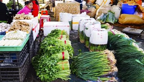 高温重袭江城，菜价跃升至高位运行_蔬菜_市场_价格