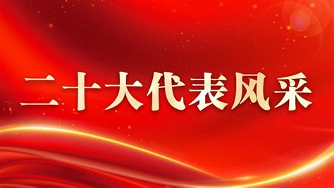二十大代表风采 - 黑龙江新闻网