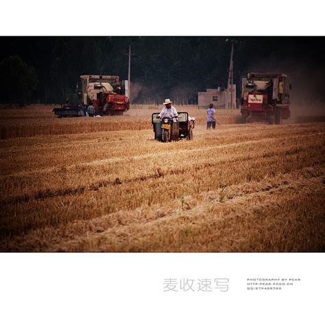 麦收的场景|摄影|人文/纪实摄影|pear1103 - 原创作品 - 站酷 (ZCOOL)