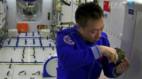 中国空间站一条手臂有7个关节 点赞中国航天！_手机新浪网