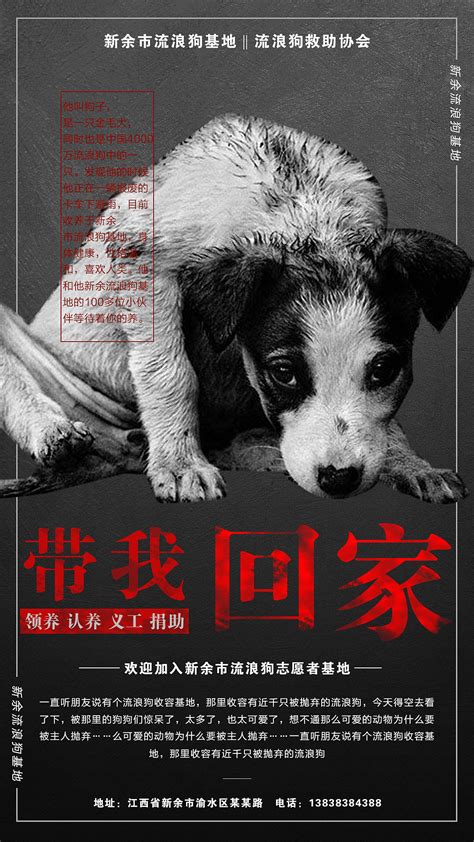 1个多月大可爱漂亮狗狗免费领养-宠物讨论区-杭州19楼