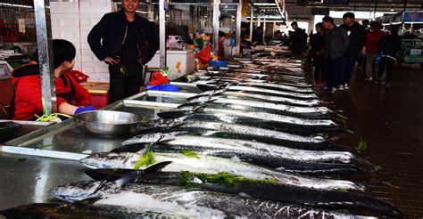 探访休渔期青岛海鲜市场 各类海鲜价格平稳 - 青岛新闻网