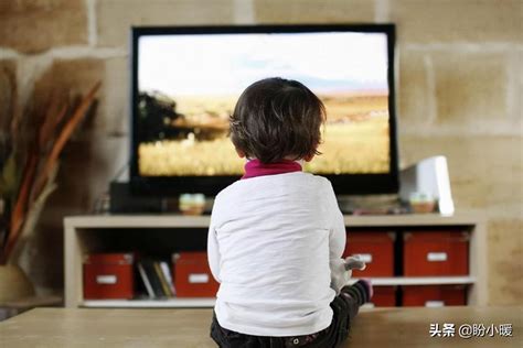 家里已安装宽带怎样免费看电视 - 略懂百科