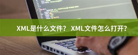 xml文件怎么打开（xml文件打开方式） | 说明书网