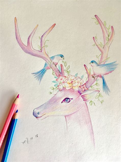 彩铅素描图片