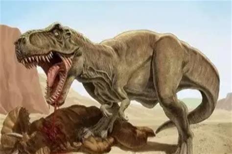 《侏罗纪世界3》恐龙外传：长“美甲”懒洋洋，空中霸主易骨折|恐龙|霸王龙|布鲁_新浪新闻