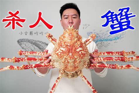 巨大活体杀人蟹，苦等了一年多，它果然没让我失望_凤凰网视频_凤凰网