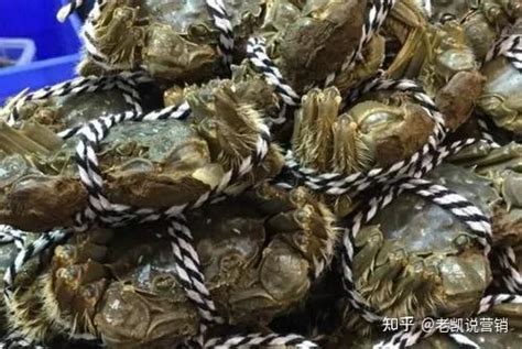9级大风吹高青岛海鲜市场，平民网红皮皮虾卖出鲍鱼价