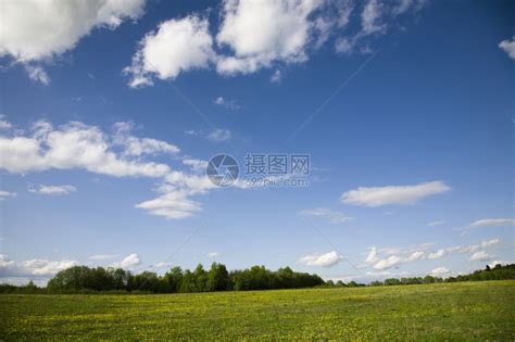 春风绿草地和蓝天空树太阳云高清图片下载-正版图片307991638-摄图网