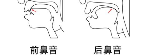 普通话考试难点攻克：2步教你正确分清前后鼻音