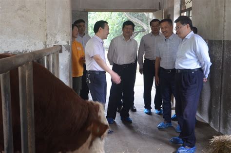 科技部农村司和省科技厅领导来我所调研指导_湖南省畜牧兽医研究所