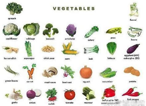 常见蔬菜名称大全有图_常见蔬菜名称大全 - 电影天堂
