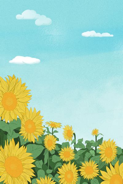 背景宋葵图片
