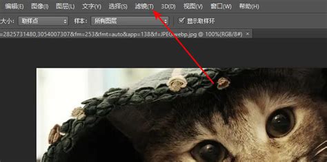 Photoshop调出树林照片添加阳光照射效果 - PSD素材网