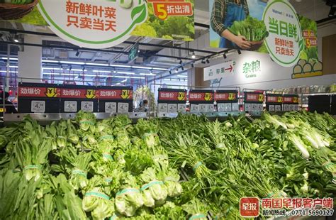 广州蔬菜价格连续第五周回落