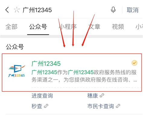 怎么使用广州12345公众号进行投诉- 本地宝
